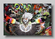 Hinckley PowWow 2009 62